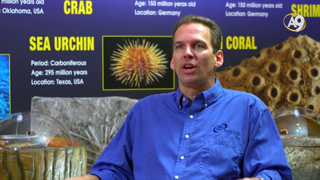 Does It Mean That The Planet Supports Life, Is Water Found on Other Planets Usable?