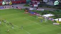 207.Palmeiras 3 x 0 Novorizontino Melhores Momentos & Gols, Paulistão 2017