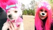 Trolls Puppy Makeover (Poppy, Branch, Guy Diam324234