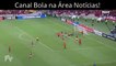 170.Gols de Flamengo 2x1 Atlético Pr - Gols & Melhores Momentos - TAÇA LIBERTADORES 2017