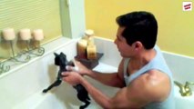 Cats & Bath Fails Compilation