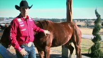 Cowboy Felt Saddle Pads - Professional's Choice
