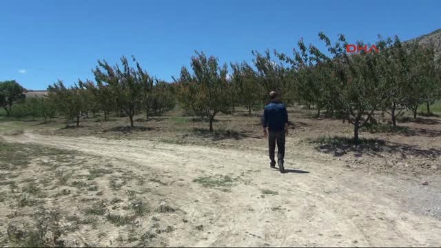 Diyarbakır Enerjisi Güneşten, Suyu Kuyudan, Fidanı Devletten Sıfır Maliyetli Meyve Bahçeleri