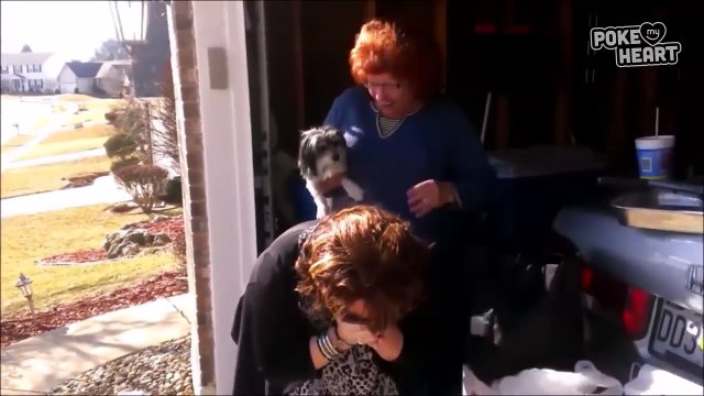 Sweet Future Grandma Surprise - Daily Heart Beat