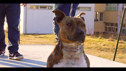 NOLIAN x DULKA - 24/7 (laFamiliaOTR) Prod. by DualVox