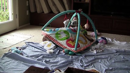 object permanence (peek a boo)