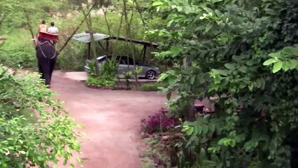 Riding Elephants in Thailand