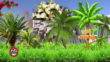 Stop - Shembja e paralajmeruar politike e pallateve shume-katesh ne Vlore! (28 shkurt 2017)