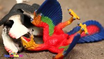 Videos dara niños Dinosaurios de Juguete Microraptor Schleich Dinosaur_Dinosau