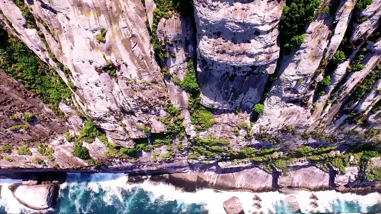 Snake Island   World's Most Deadly Island   brazil
