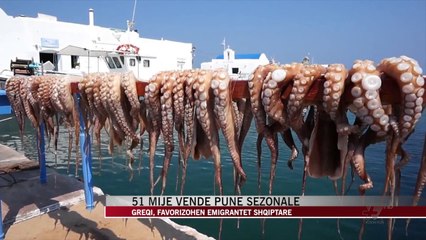 Greqia kërkon 51 mijë punëtorë sezonal, favorizohen shqiptarët - News, Lajme - Vizion Plus