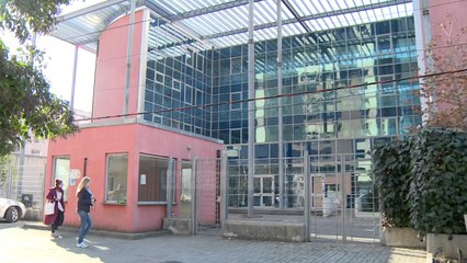 Akuza për hashashin, shefi i Kurbinit shpallet në kërkim - Top Channel Albania - News - Lajme