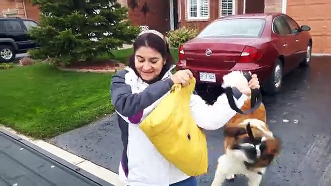 Dog sees owner again after 1 month