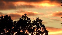 Evening sky over Ifield Golf Course 3 Sept 2015 super zoom zoom test
