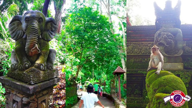 Индонезия и Сингапур. Март 2017