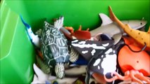 Shark Toys Kids Toy Box Sea Animals Toy Whales sea turtles