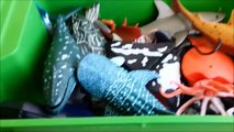 Shark Toys Kids Toy Whales sea turtles caretta caretta turtles