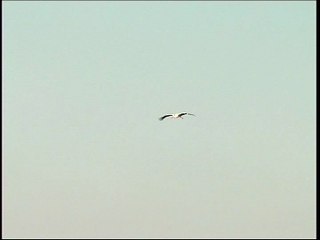 Salamanca pueblo a pueblo (número 111) (parte 1) - MultiDavid2001b