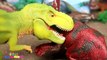 Videos de Dinosaurios para niños  Tyrannosaurus werwerex v_s Pentaceratops  Sc