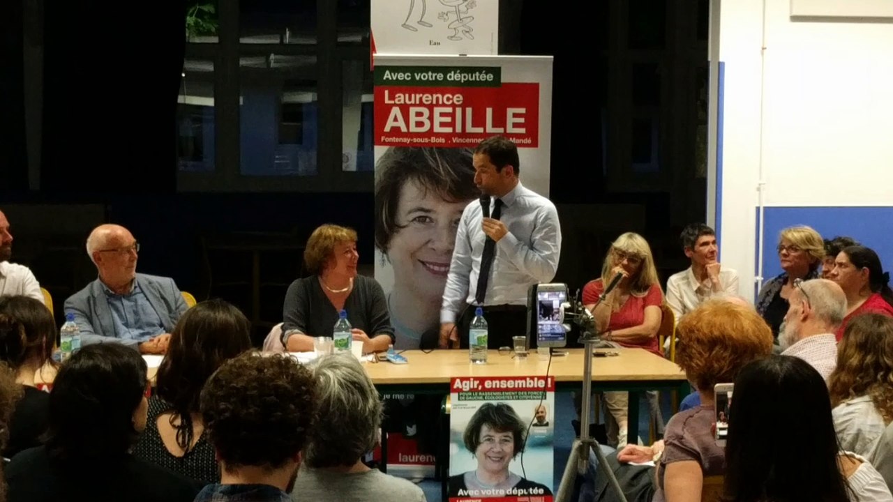 Laurence Abeille - Vœu de Benoît HAMON