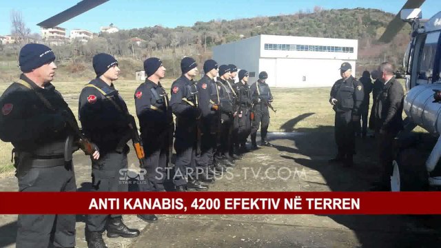ANTI KANABIS, 4200 EFEKTIV NË TERREN