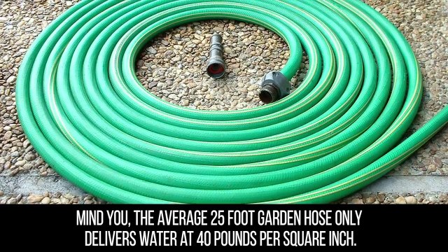 10 Photos Taken Before Reality Hit!