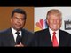 George Lopez Ready To Knockout Donald Trump Wants To Fight Him - esnews boxing