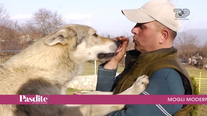 Pasdite ne TCH, 2 Mars 2017, Pjesa 4 - Top Channel Albania - Entertainment Show