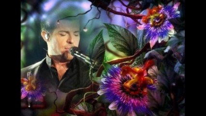 VINCENT  NICLO  *** L'AMOUR EST ENFANT DU  POEME ***
