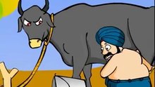 Milking the Buffalo