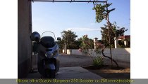 SUZUKI  Burgman 250  Scooter cc 250