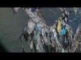 Koka: Nismë për pastrimin e territorit nga mbetjet - Top Channel Albania - News - Lajme