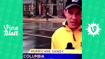 Funniest -Wait for it- Vine Compilation #29 -- 2017