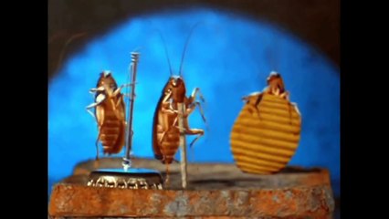 The GREAT ULTIMATE try not to laugh challenge