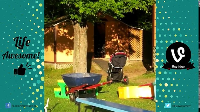 TRY NOT TO LAUGH or GRIN- AFV Funny Vines Fails Compilation 2017 - Best Vines 2017 by Life Awesome