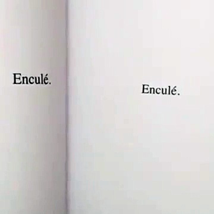 La biographie d'Emmanuel Macron en 13 secondes