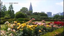 2014 05 15 TOKYO EYE Shinjuku Labyrinth Part 2 (full video)