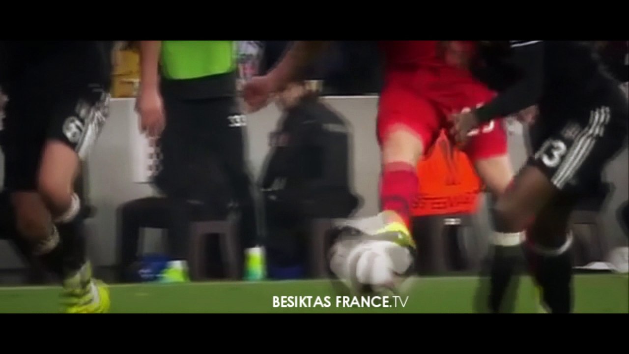 fabri