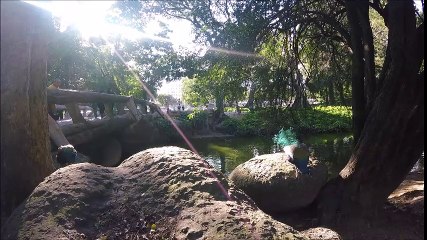 Mon film au Brésil 2 (Je me suis réveillé j'étais a Rio..)