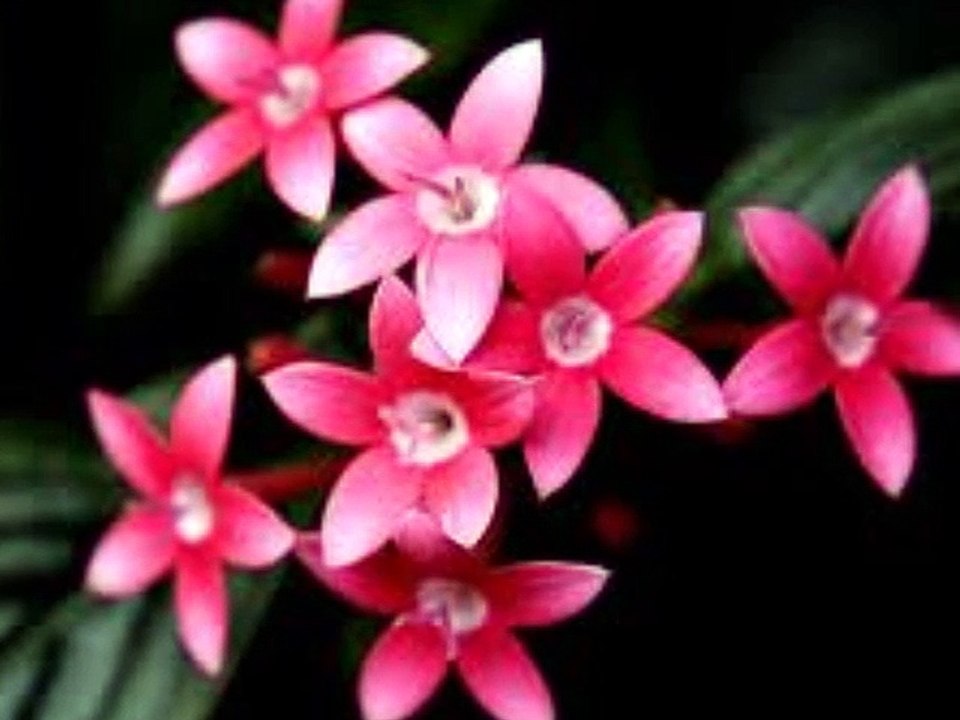 EN SON BEN GÖRDÜM- Dagbey Şiirleri (Ali Dogan)