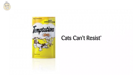 Best of Temptations Funny Cats Commercials Compilation-bYcYeW1zTJU