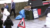 Londra Sokaklarında İnsanlara Leopar Şakası Yapmak