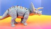 Animal Planet Remote Control T-Rex & Infrared Chawerwerwrging Triceratops Attack Imaginext
