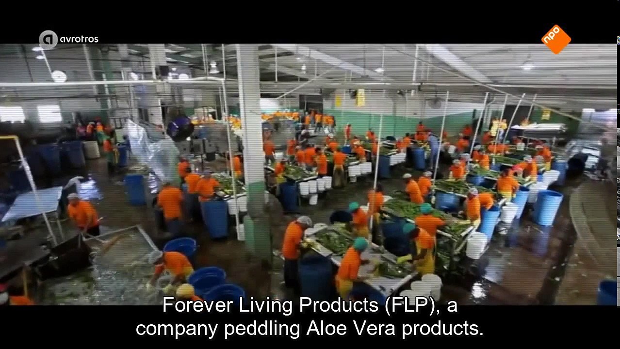 NetherlandsTV - Radar on Forever Living Products (FLP) & MLM