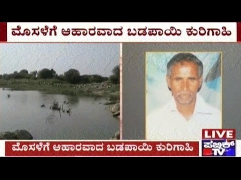 Shepherd Dragged Into Krishna Water By Crocodile