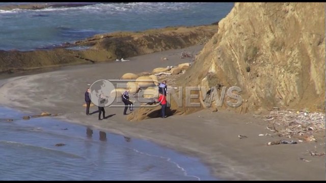 Pas një muaji - U mbyt në Vjosë, gjendet në Zvërnec trupi i 26 vjeçarit nga Mallakastra