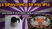 Prepper-Reciclaje de vaso de cafetera a Hornillo de Bushcraft o Supervivencia