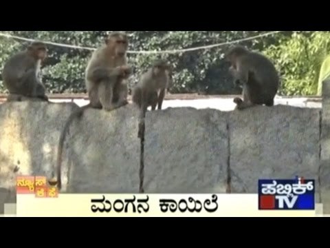 News Cafe | Top Stories | March 28th, 2017 | 8:00 AM