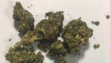 정품 대마초 파는곳입니다.톡(mmp1314)텔레(KZB66)대마초구입.대마초구매.대마초판매.대마초가격.라인:dpp3w