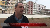 Ende nevojiten intervenime teknike në parkun ''Beqir Kastrati'' në Gjakovë - Lajme